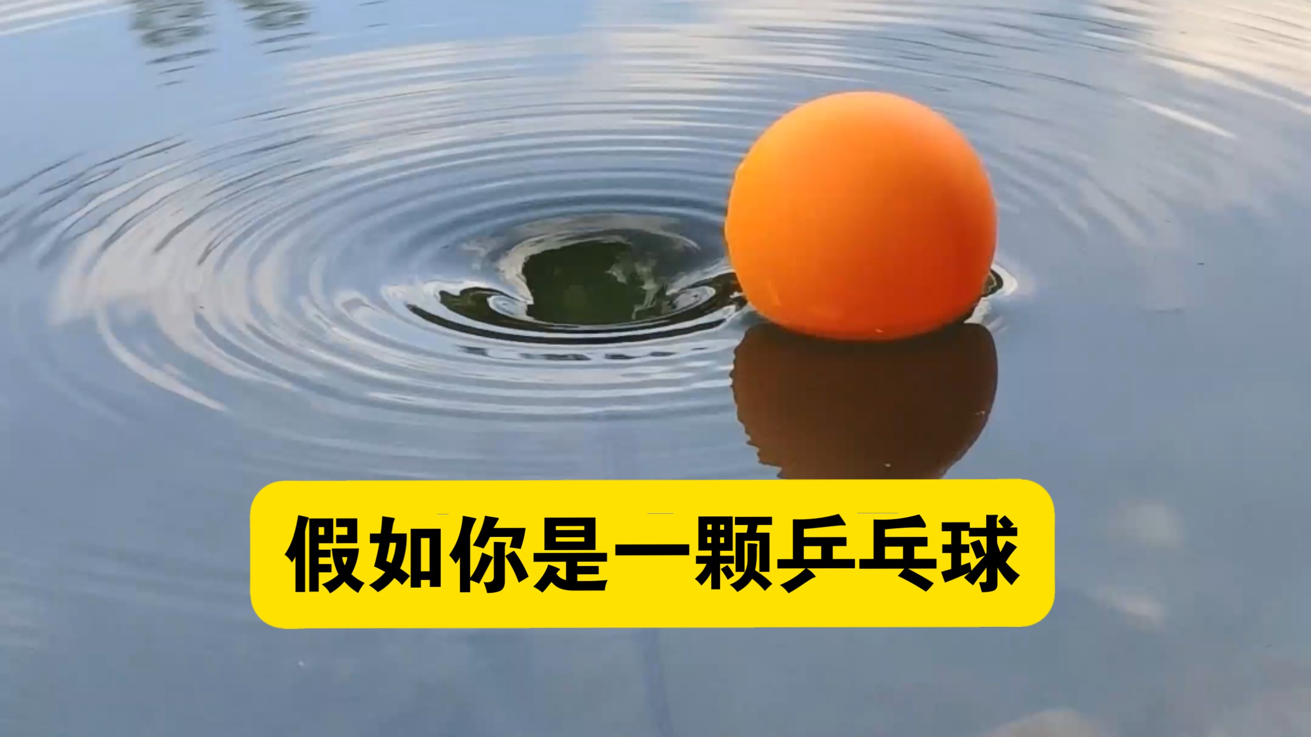 假如你是一颗误入漩涡的乒乓球