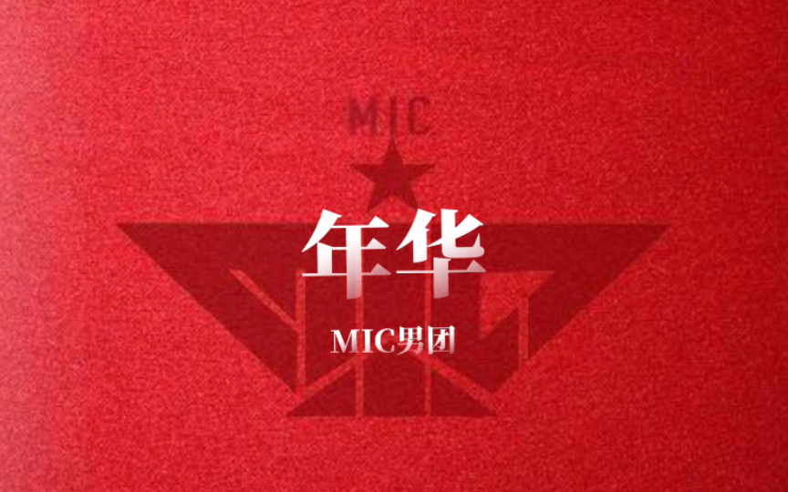 【听歌】年华-MIC男团【分词版】