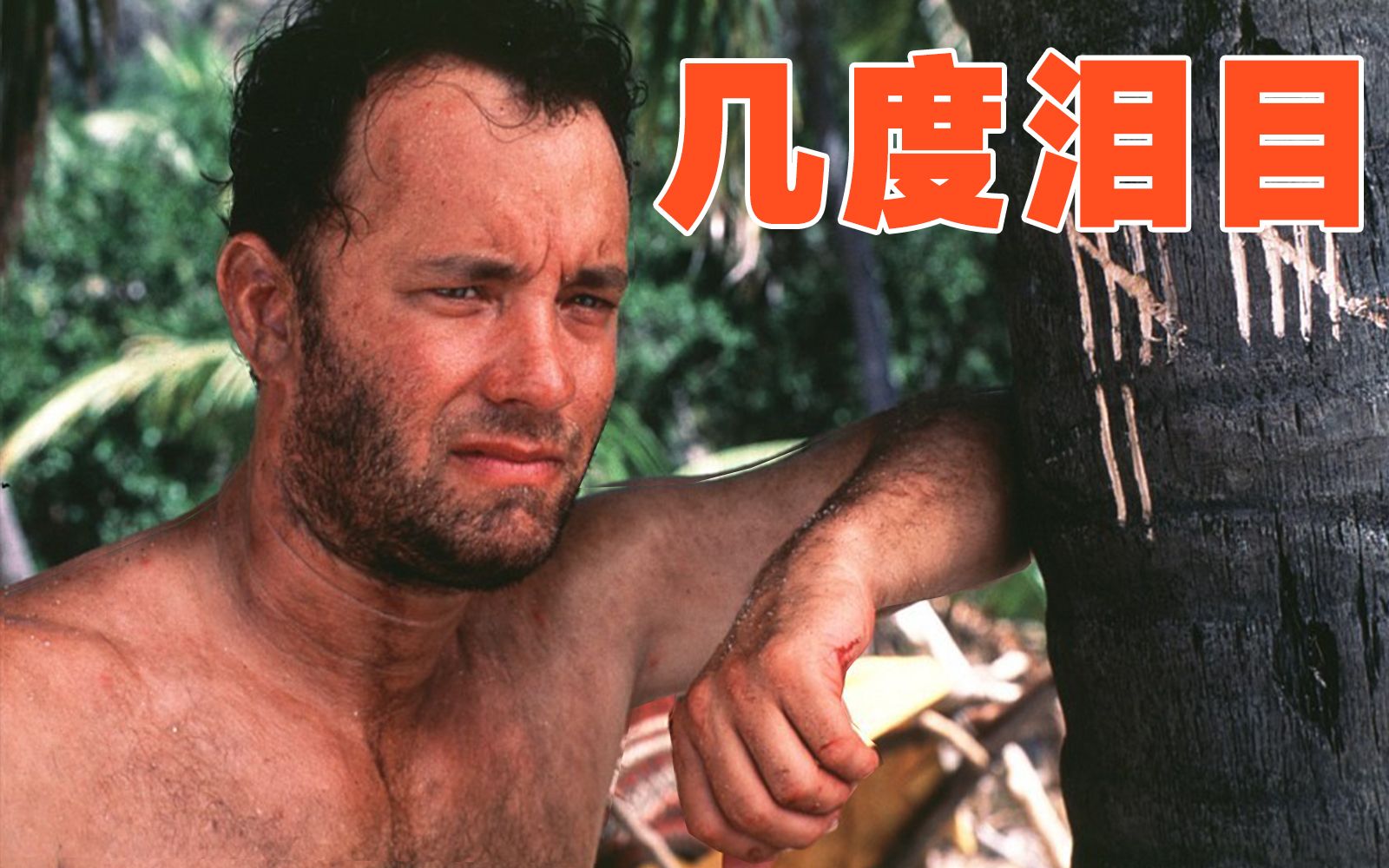 被扔到荒岛1500天，他创造了人类奇迹《荒岛余生》【大象】