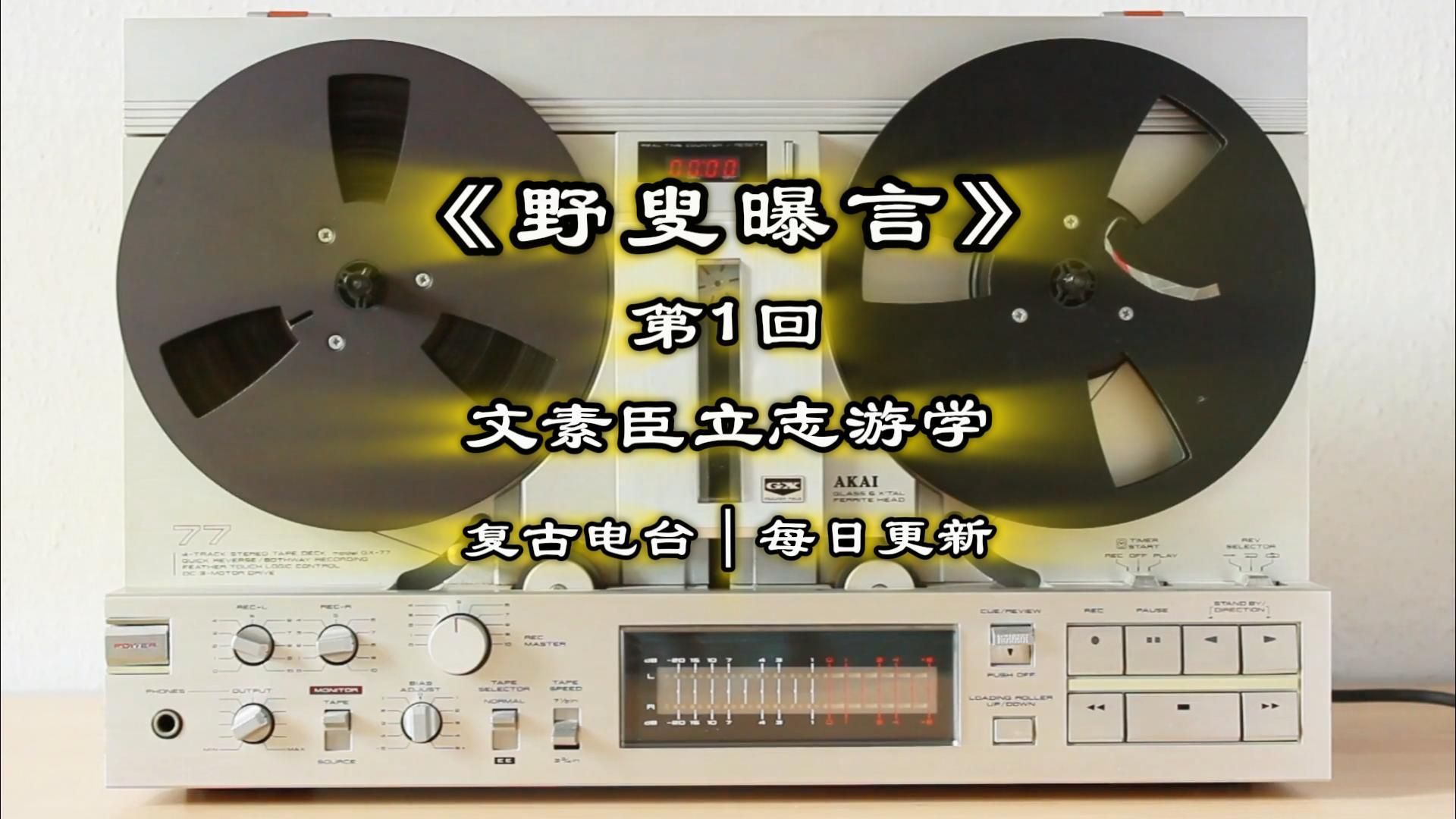 《野叟曝言》第 1 回｜文素臣立志游学｜少有人讲的清代奇书！