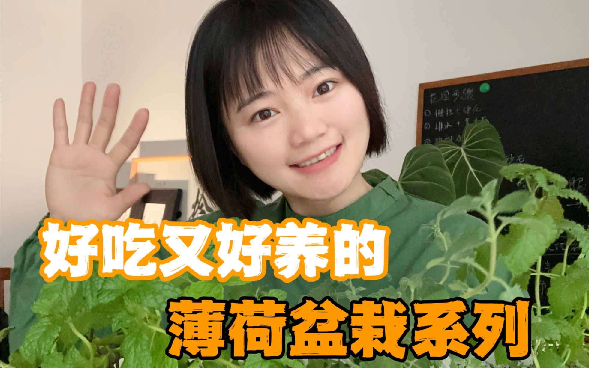 种了那么多薄荷品种，我最爱这五个啦！分别是留兰香薄荷，猫薄荷，糖果薄荷，英国薄荷，柠檬香蜂草，放有光的阳台就能实现薄荷自由！