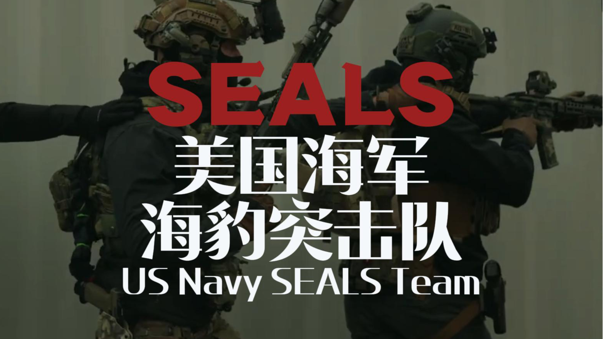 𝐍𝐚𝐯𝐲 𝐒𝐄𝐀𝐋𝐒 美国海军海豹突击队，全网首发详细介绍及最新动态