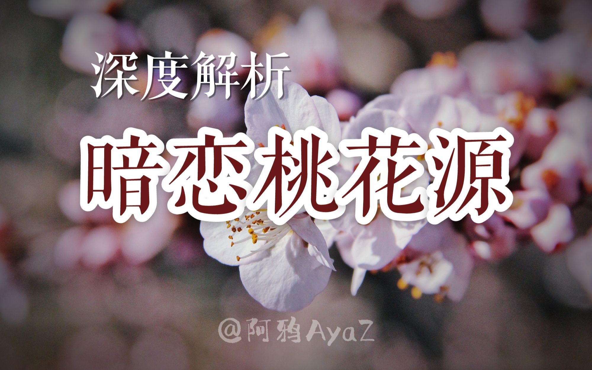万字长评｜深度解读《暗恋桃花源》：暗恋篇