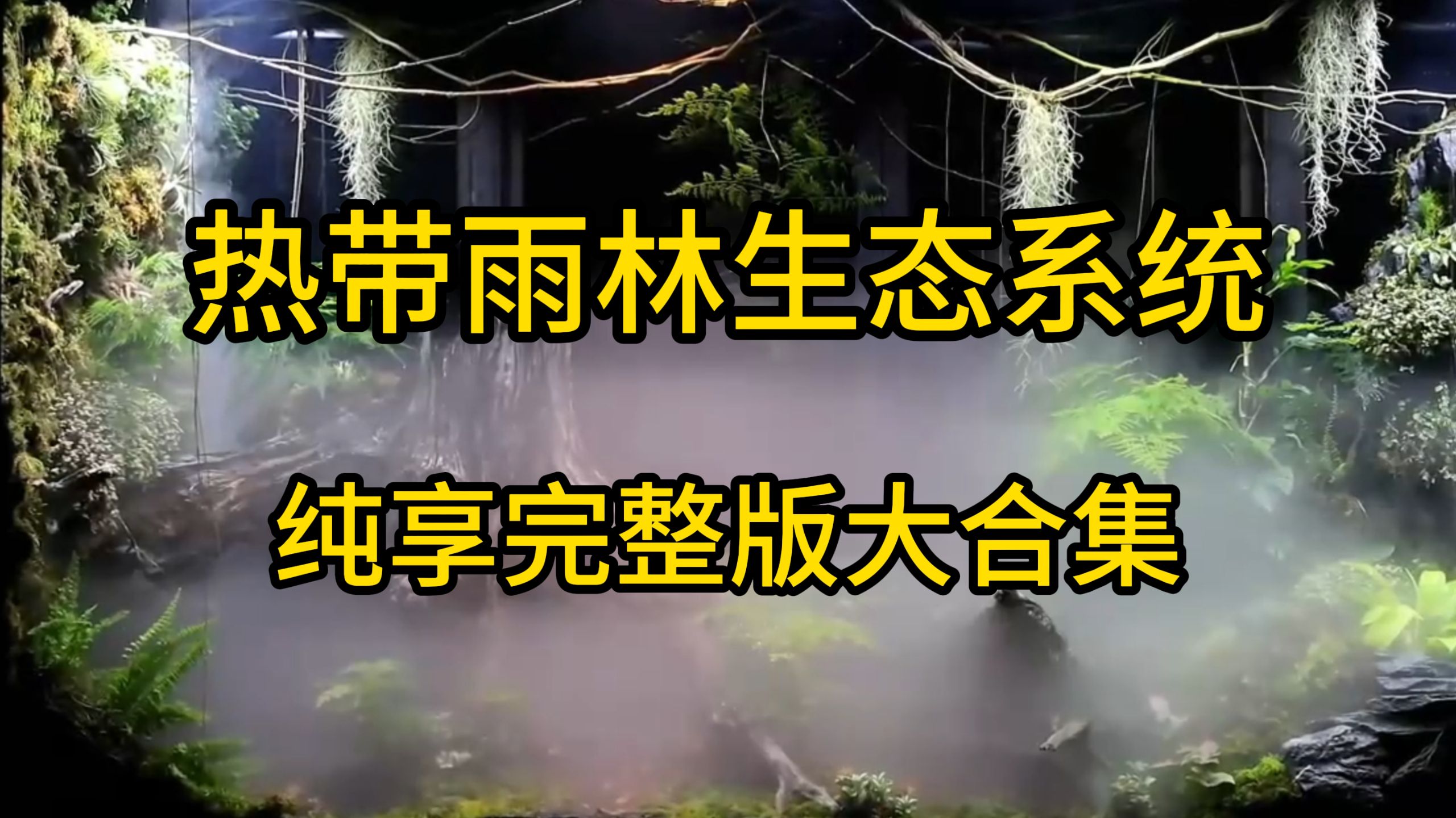 超级减速带上帝模拟器：打造超大型雨林生态系统   观察物种演变全。