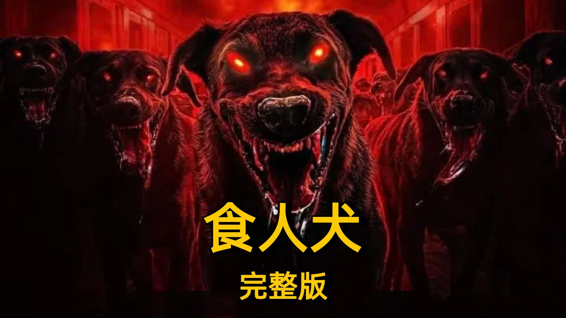 2025美国恐怖电影《食人犬》，流浪狗发生变异见到人类就疯狂撕咬
