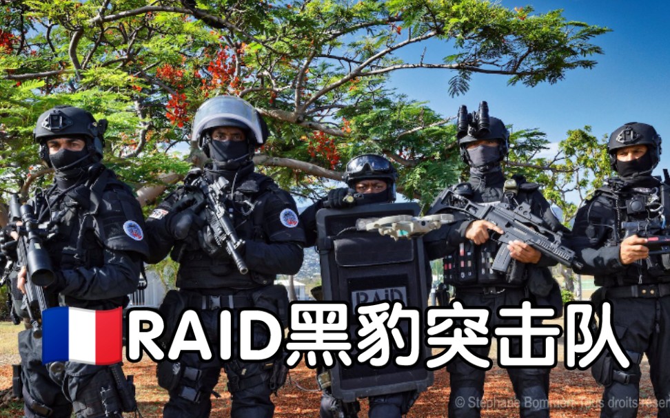 【POLICE】法国查理周刊恐怖袭击事件中英勇的特警黑豹突击队RAID和BRI