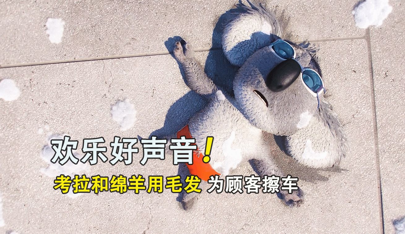 考拉和绵羊用毛发为顾客擦车