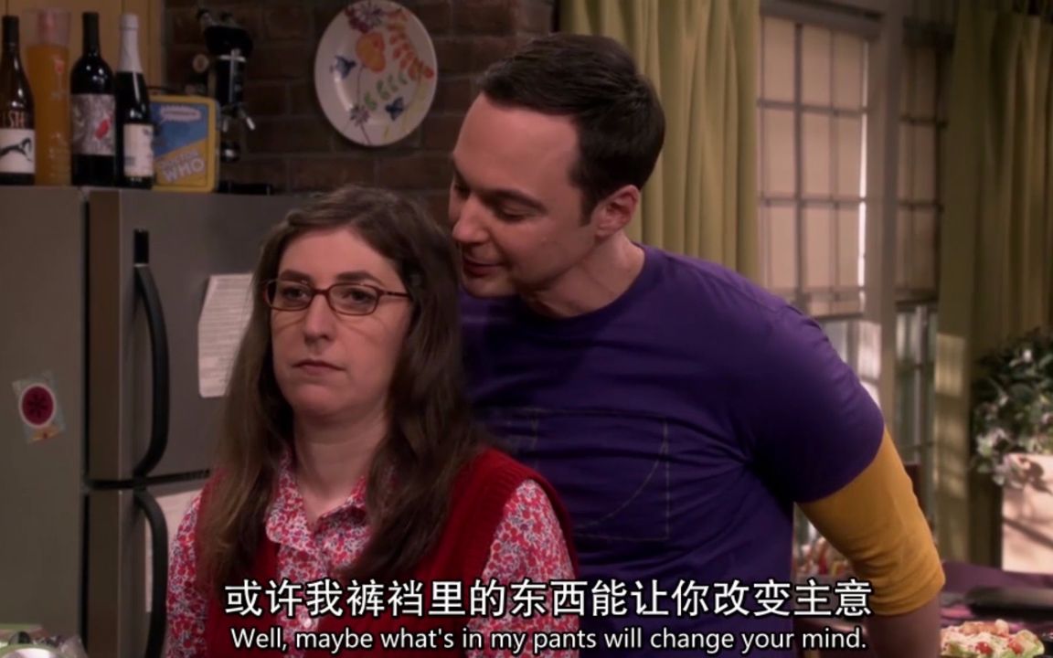 【美剧/喜剧/生活大爆炸】 Sheldon色诱Amy S10E17