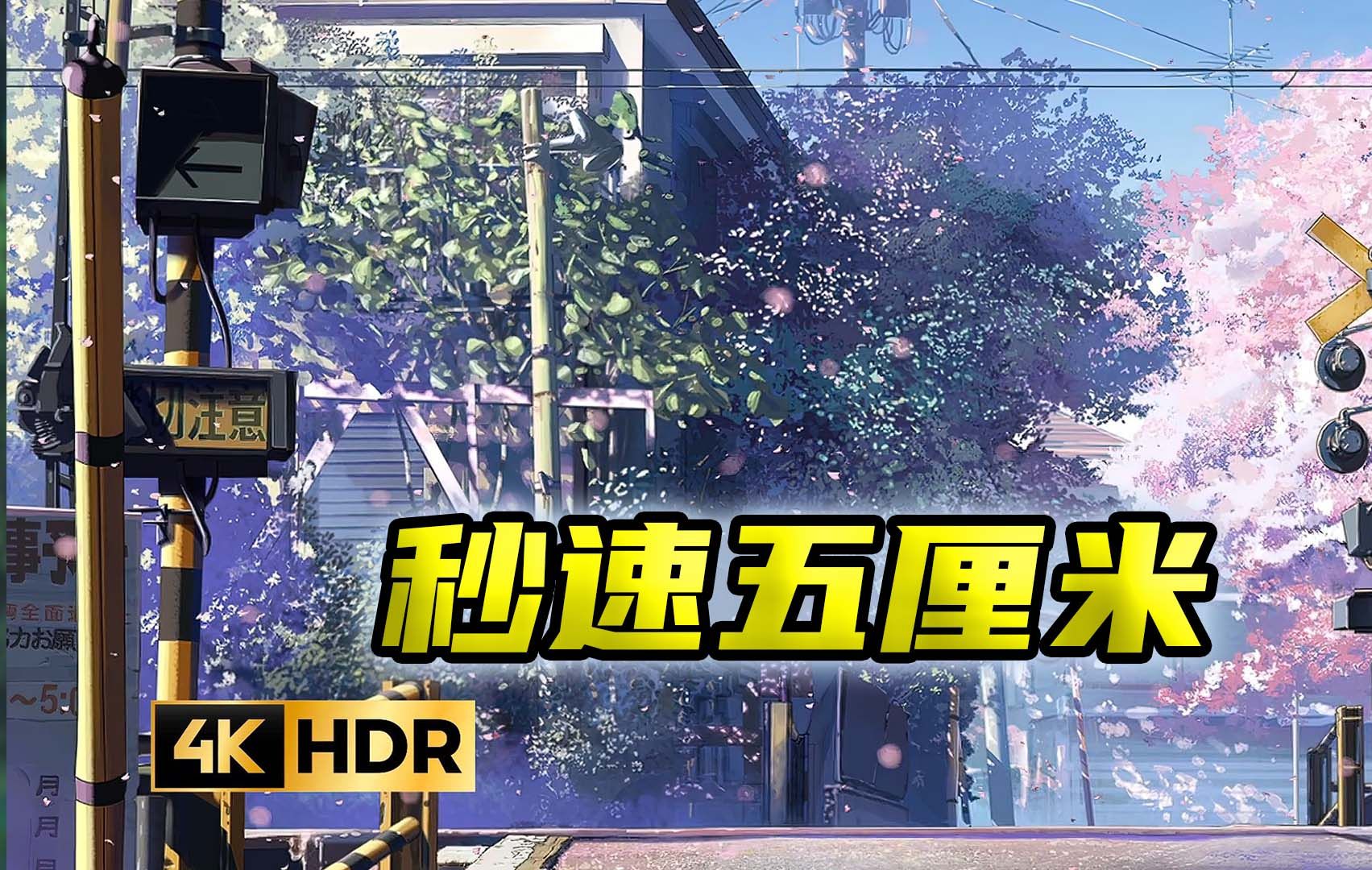 秒速五厘米 完完整整解读，恋爱圣经绝对名不虚传，让你爱之路少走弯路