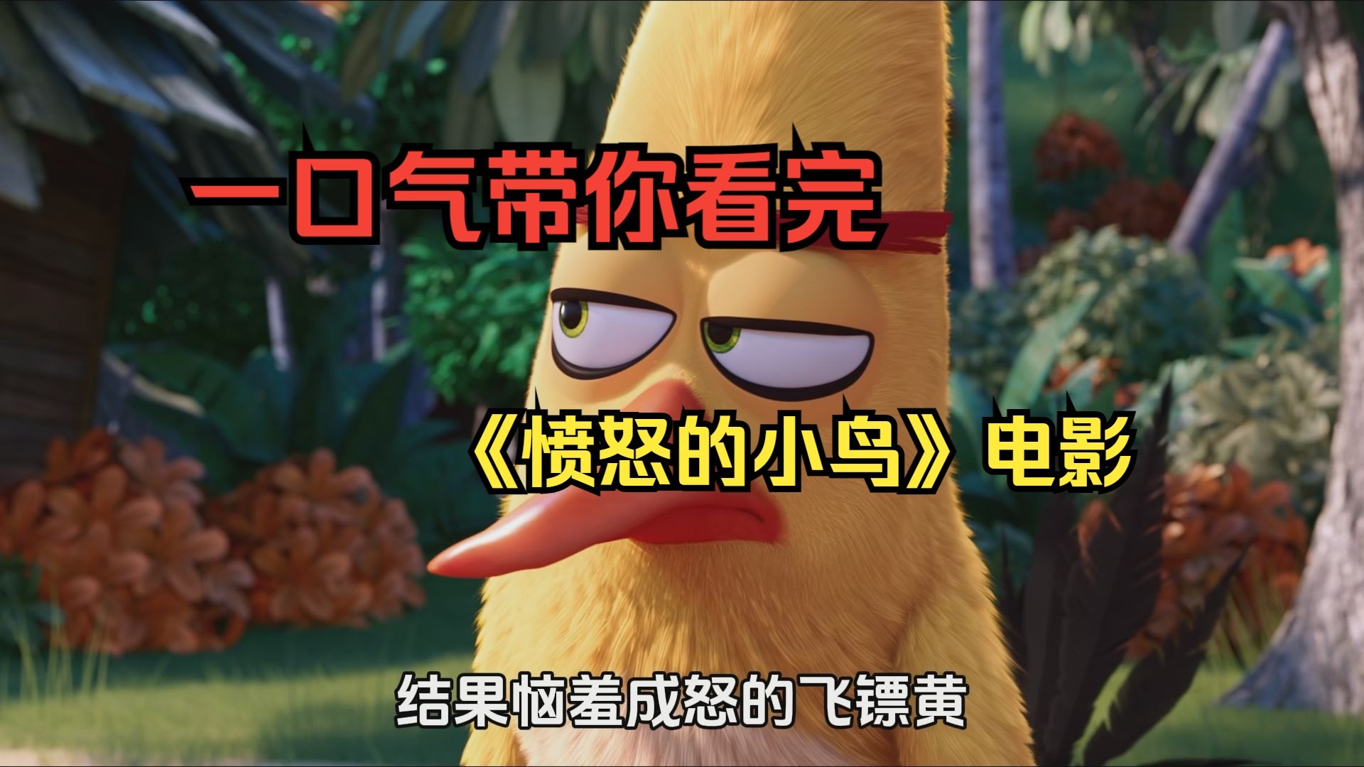 一口气带你看完《愤怒的小鸟》电影解说