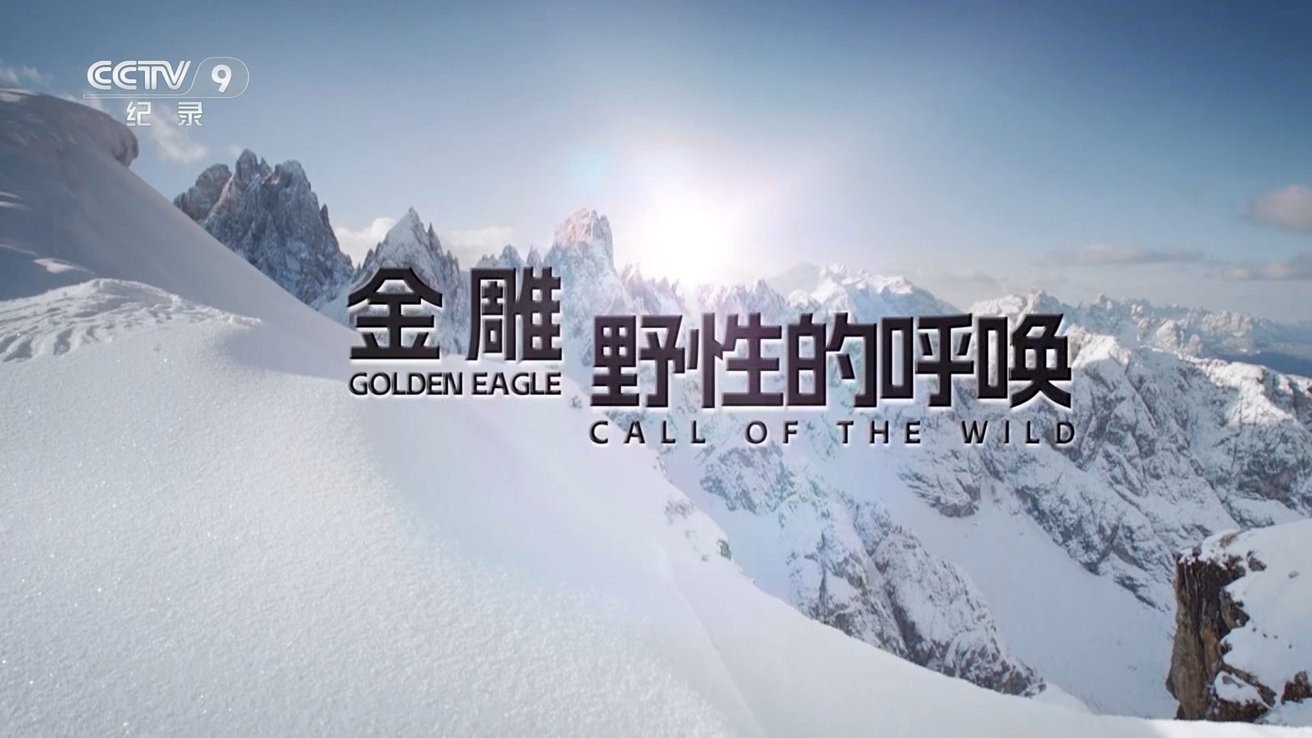 CCTV9纪录片《金雕——野性的呼唤》