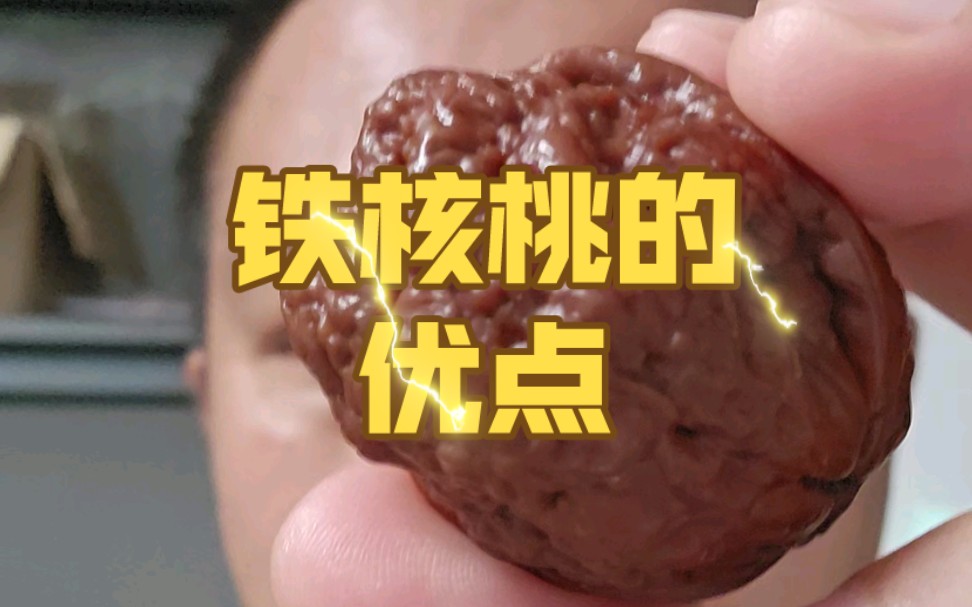 铁核桃的几大优点和致命缺点