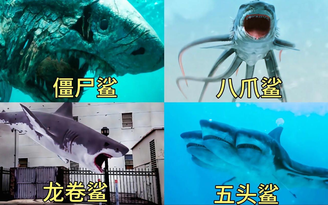 特效片里的这四条鲨鱼，你觉得哪个厉害？八爪鲨好凶猛