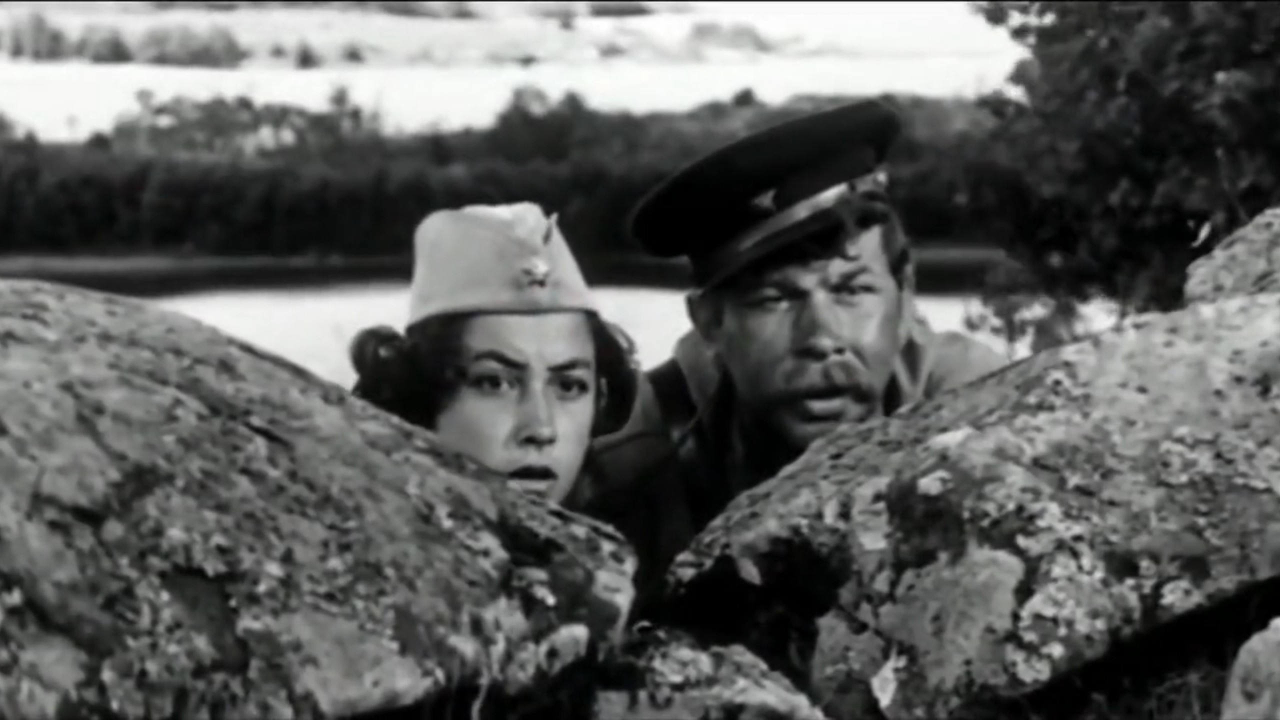 (译制片)这里的黎明静悄悄(1972)