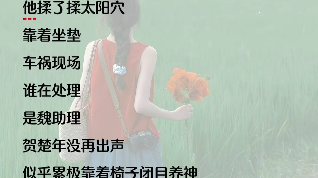 再见亦相爱3