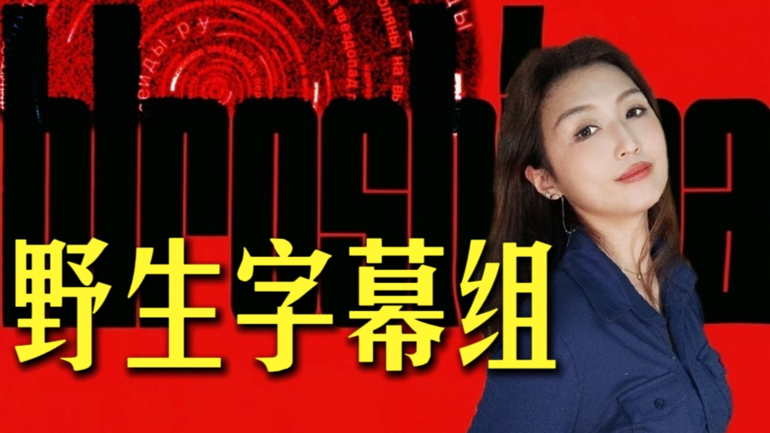 【NGO入侵系统✋】谁在给"良心字幕组"打钱？境外翻译资助的真相