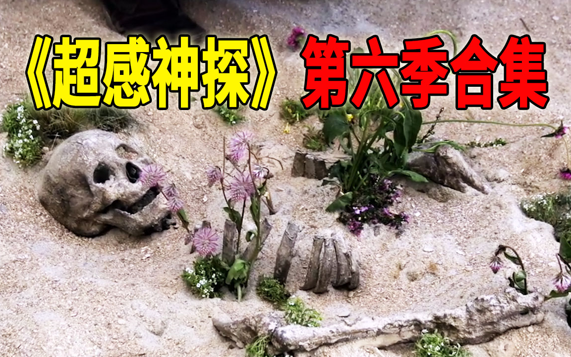 高分犯罪推理剧《超感神探》第六季合集