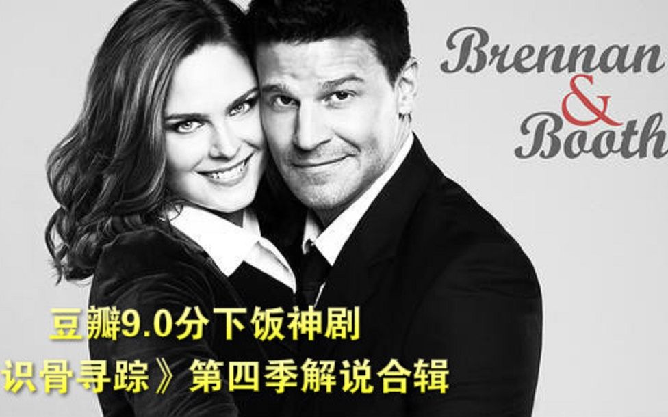 豆瓣9.0分下饭神剧，识骨寻踪第四季解说合辑《哈士奇版》