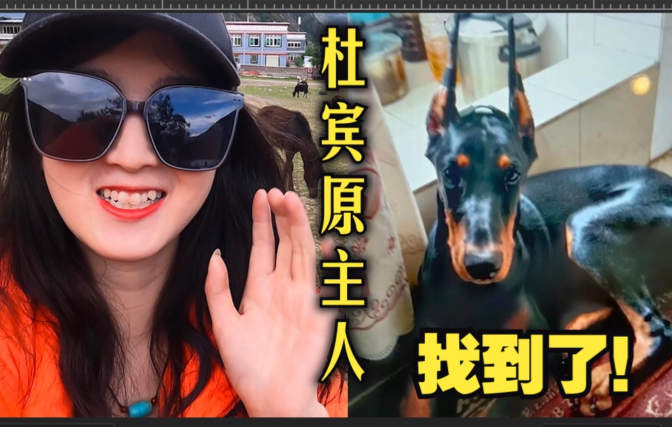 记得我在西藏捡的杜宾吗？失联三年，主人看视频瞬间崩溃...