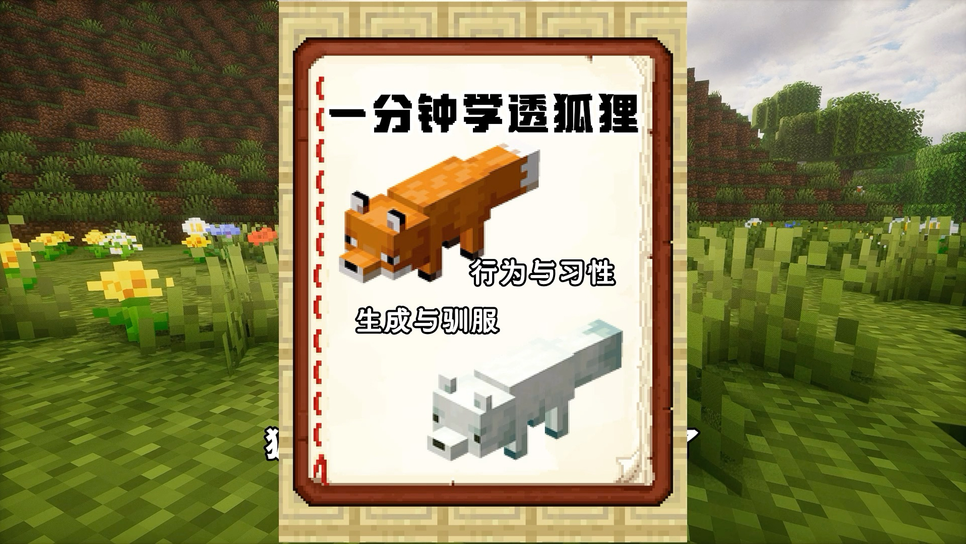 一分钟学透狐狸，让你了解所有狐狸知识