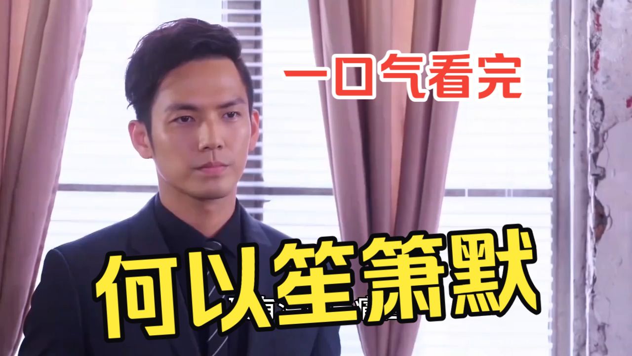一口气看完《何以笙箫默》全集解说