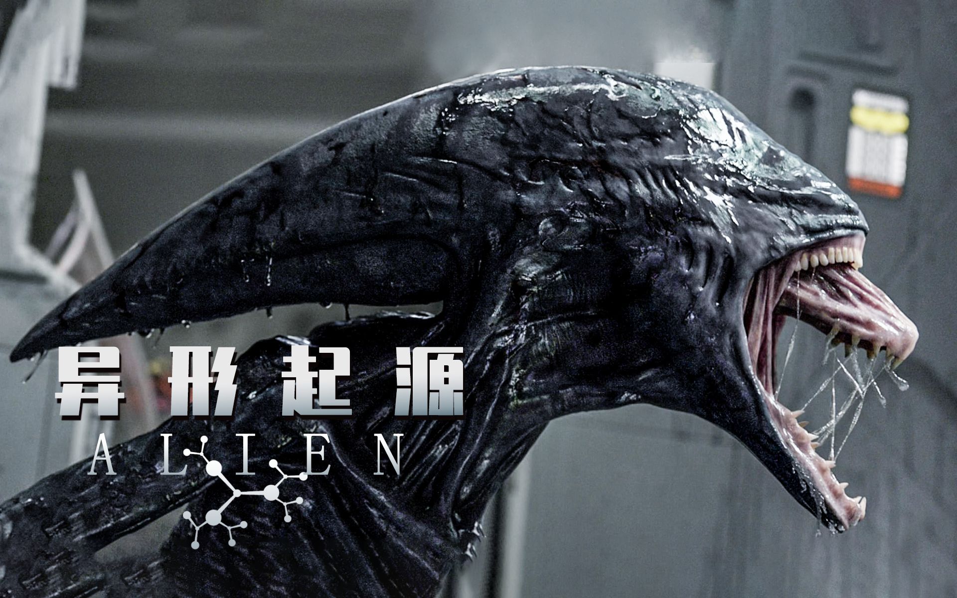 最令人唾弃的邪恶生物是怎么来的？异形三部曲《普罗米修斯》解说