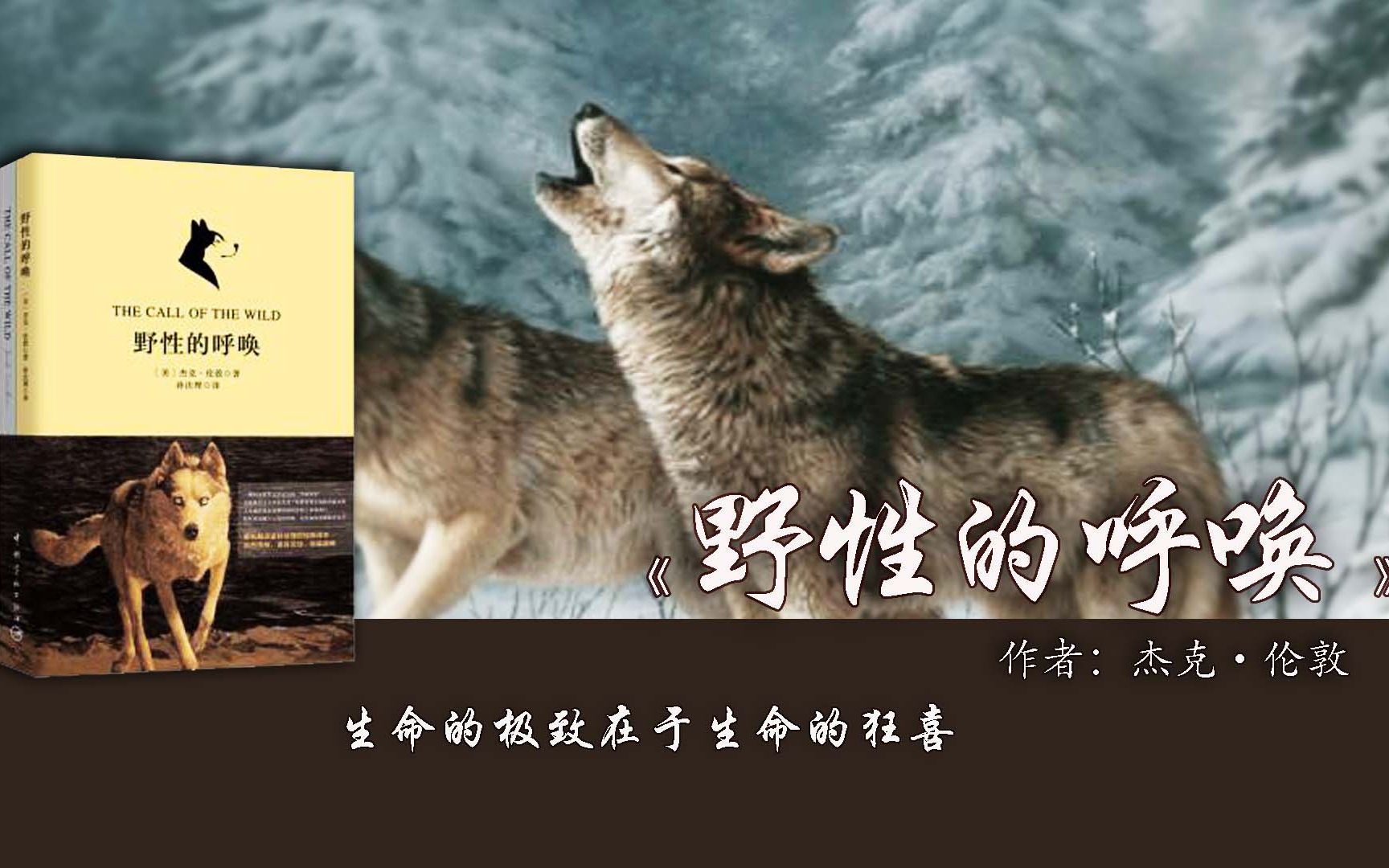 11分钟读完《野性的呼唤》：活着才是王道