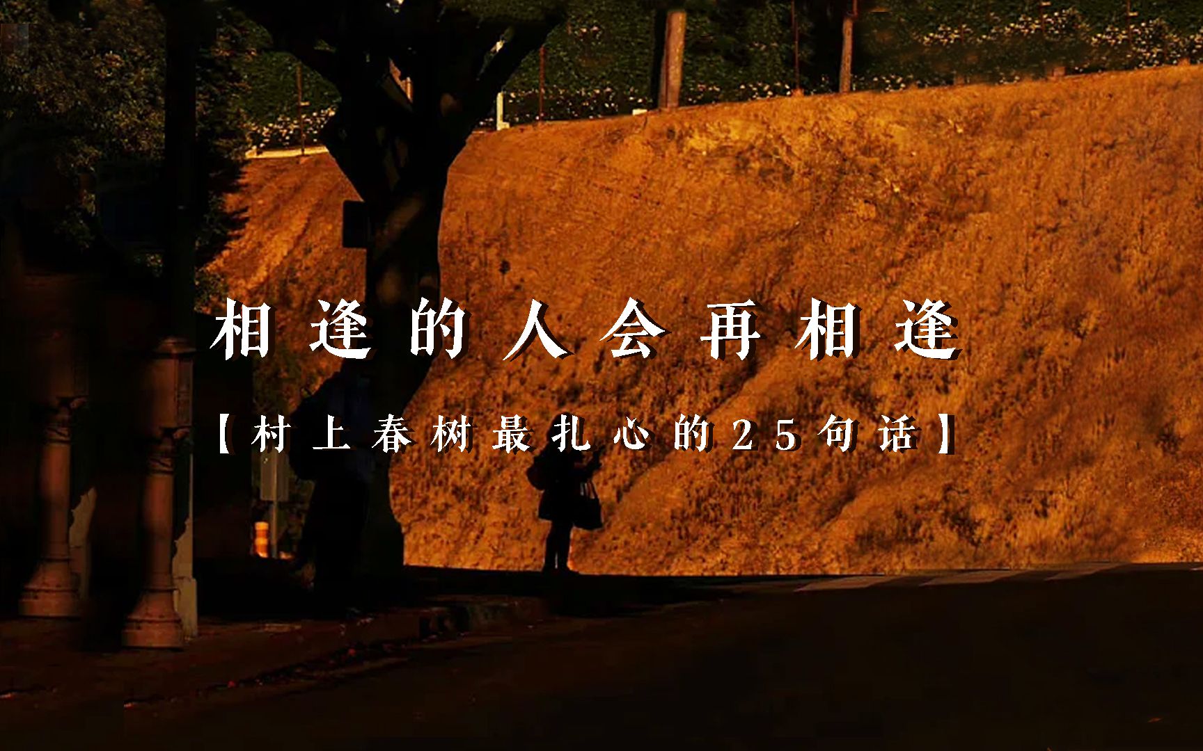 “迷失的人迷失了，相逢的人会再相逢。”村上春树最扎心的25句话