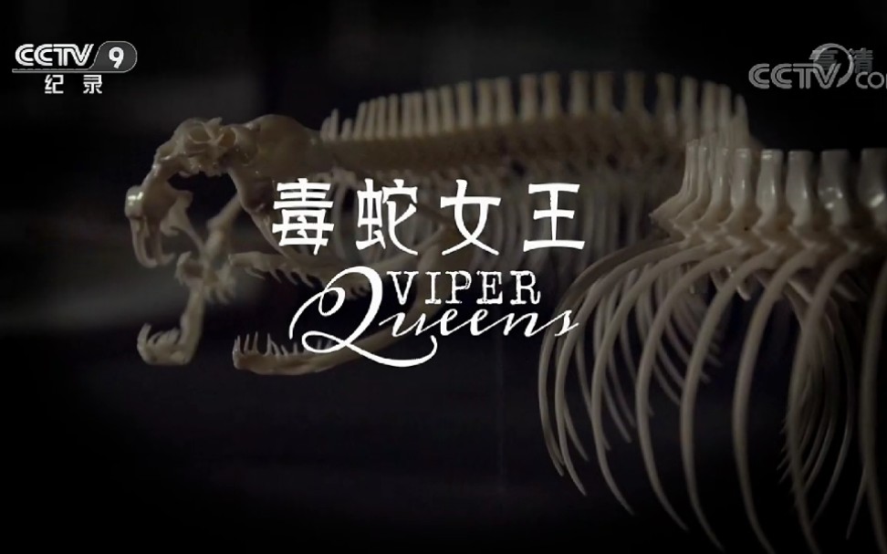 【纪录片】毒蛇女王