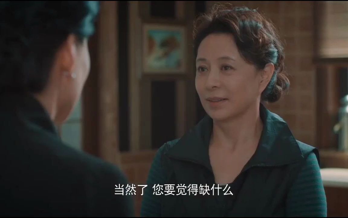 远方的家 刘佳梁冠华等剪辑（中)