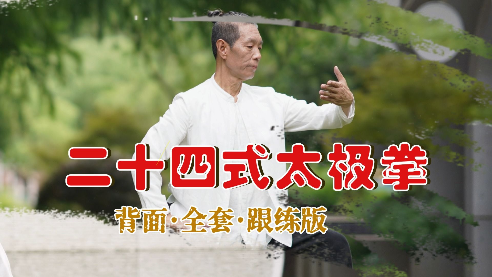 开学季·24式太极拳练起来 （全套 背面跟练版）大学生学太极拳