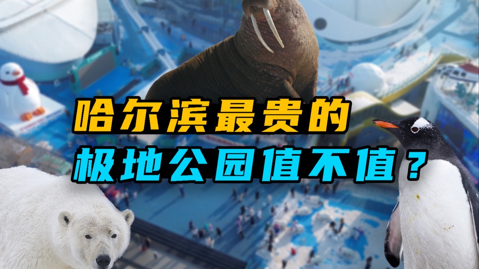 哈尔滨最贵的极地公园值不值？哈尔滨极地公园测评！