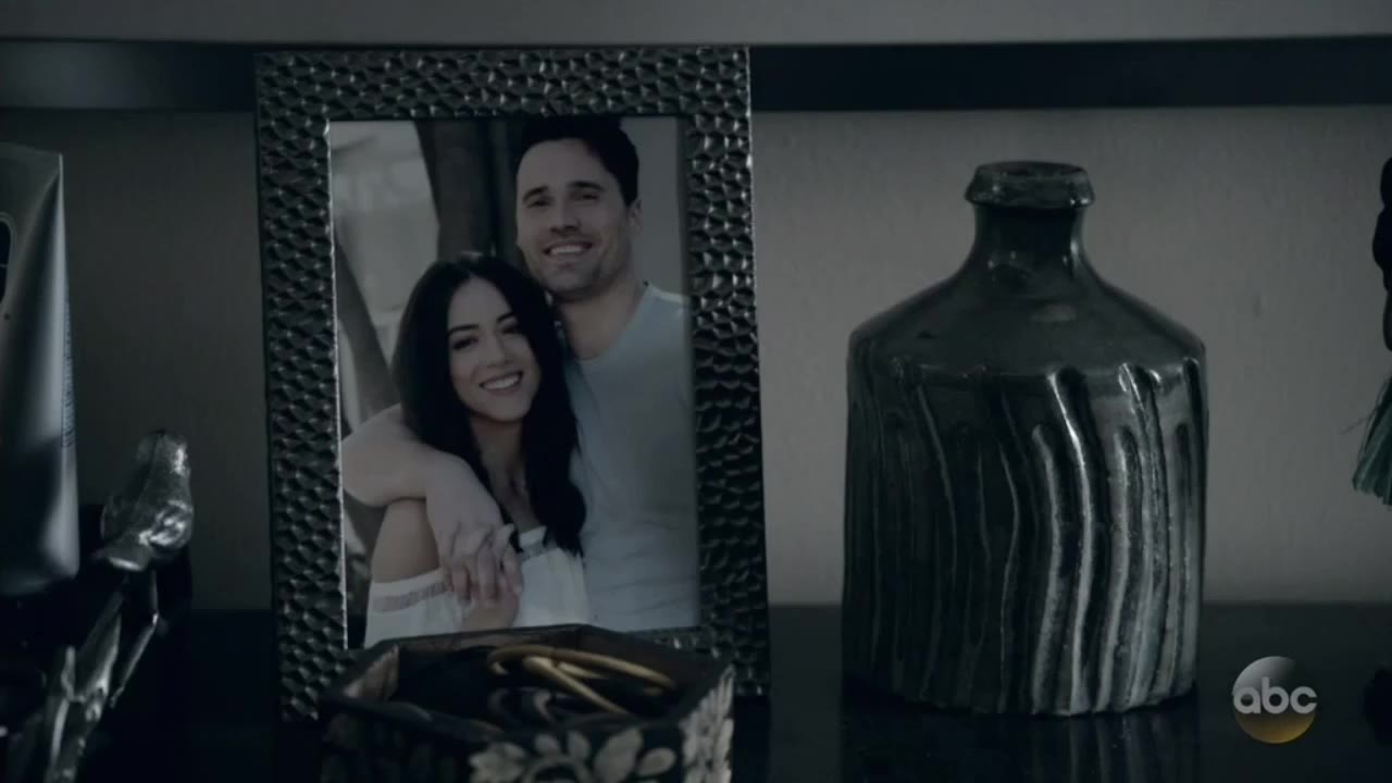 【Skyeward】神盾局特工框架Ward与Daisy 从相遇到离别