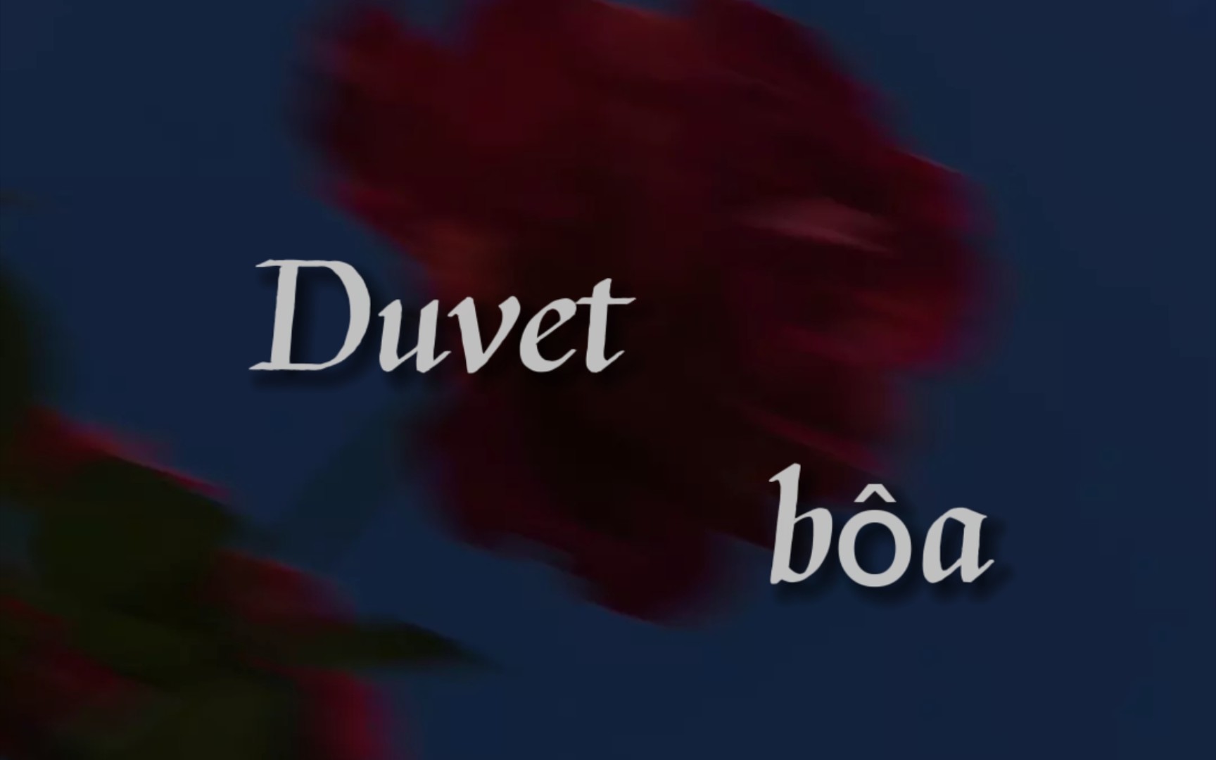 不定时日推｜“I am falling I am fading I am drowning”｜《Duvet》-boa