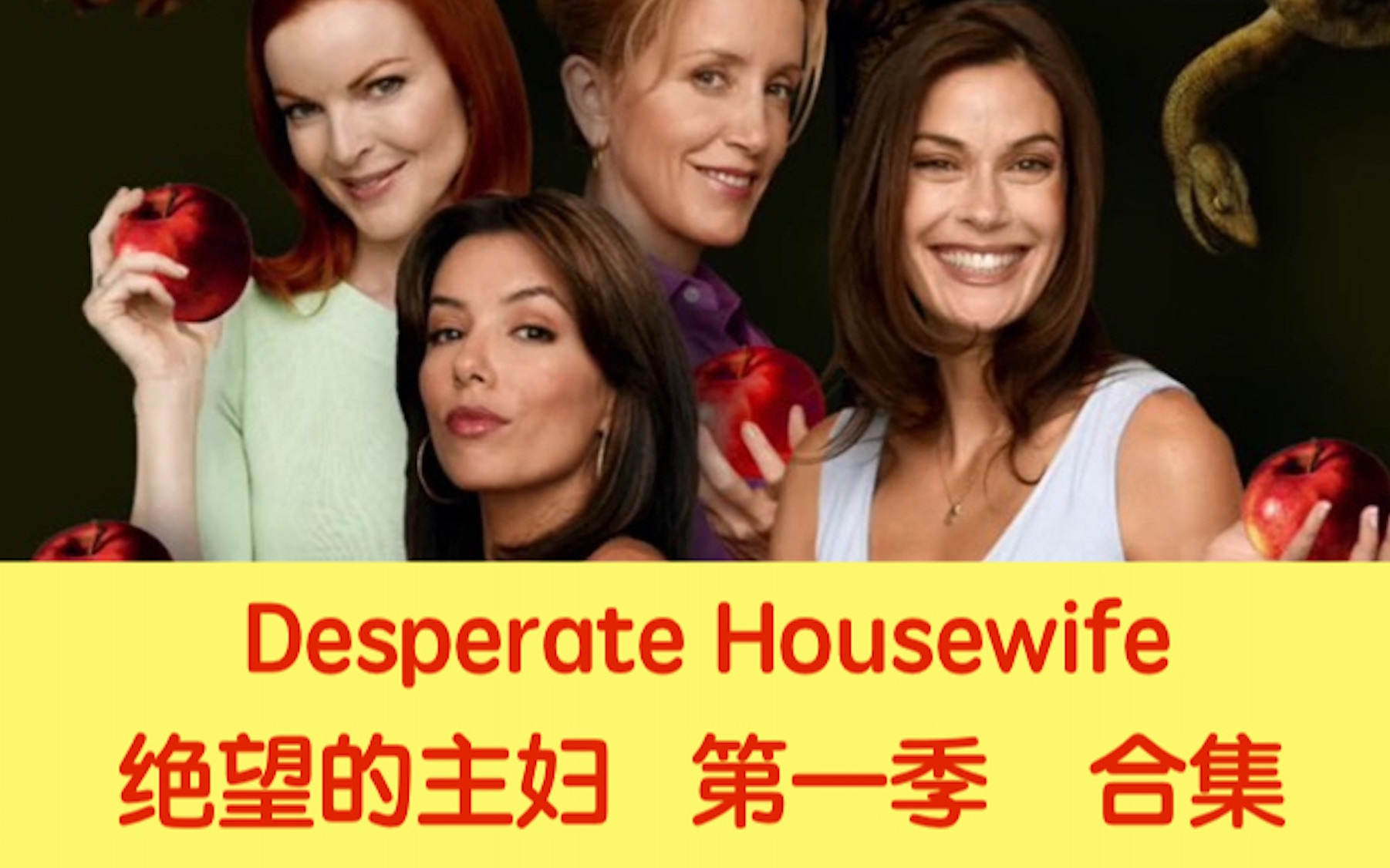 绝望的主妇｜第一季｜合集（已完结）｜中英字幕｜听力&amp;口语&amp;日常英语对话