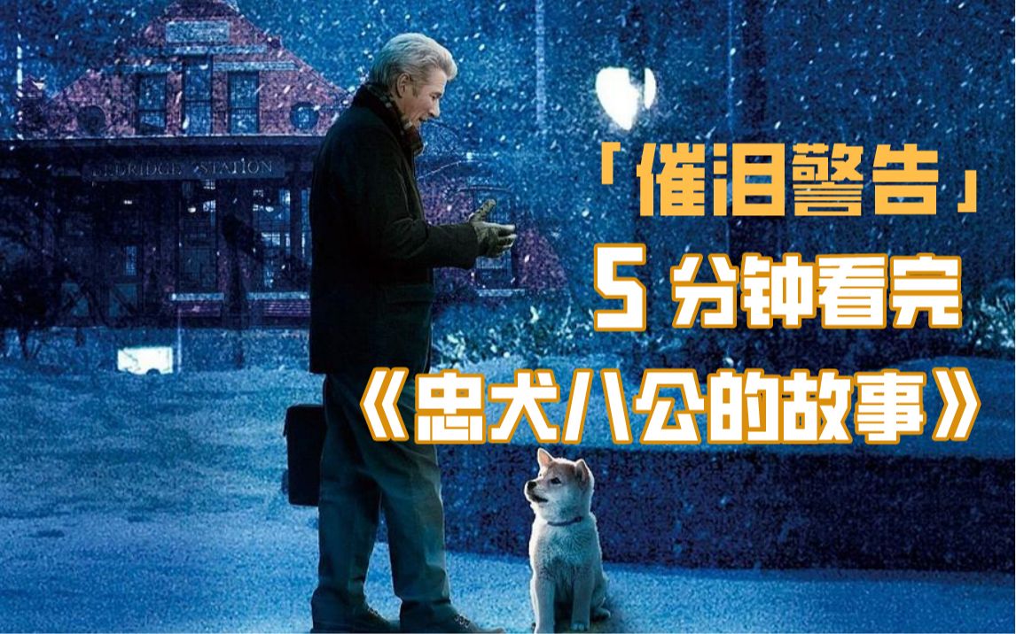 【催泪警告】它是你的十几年，你是它的一辈子：5分钟看完忠犬八公