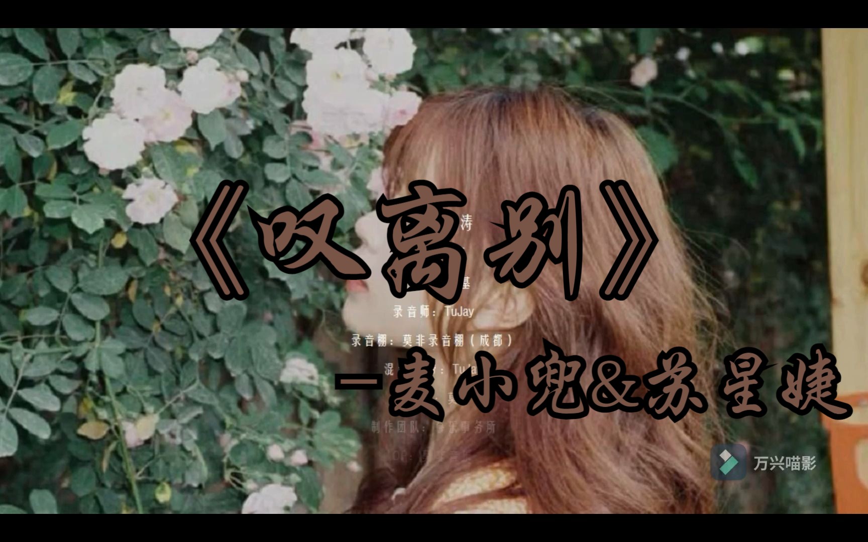 《叹离别》-麦小兜&amp;苏星婕 ##看一场谢幕空流泪，我等的人终不回，唱一曲相思叹离别，奈何等闲空悲切！##