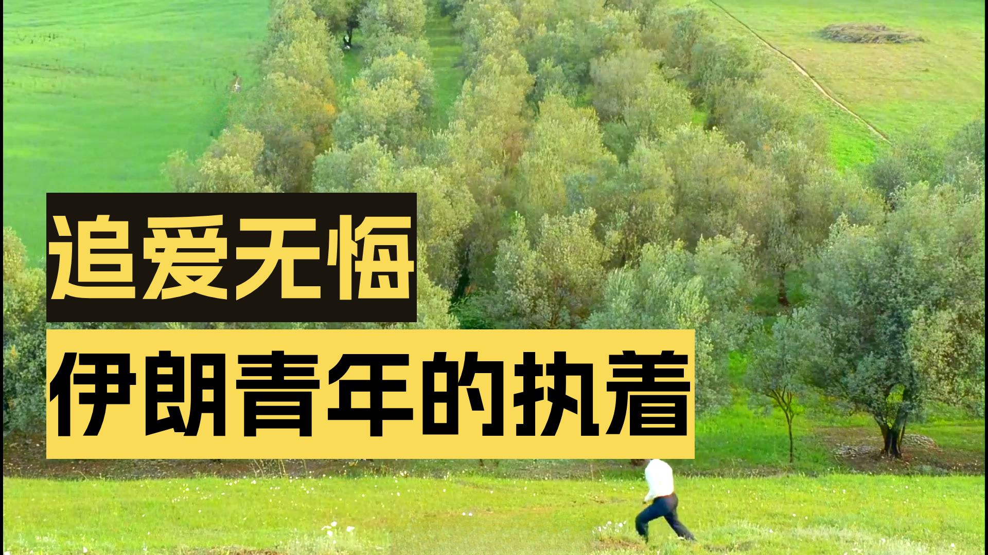 “喜欢不一定要有答案，那份追逐本身，就已经很美好了！”
