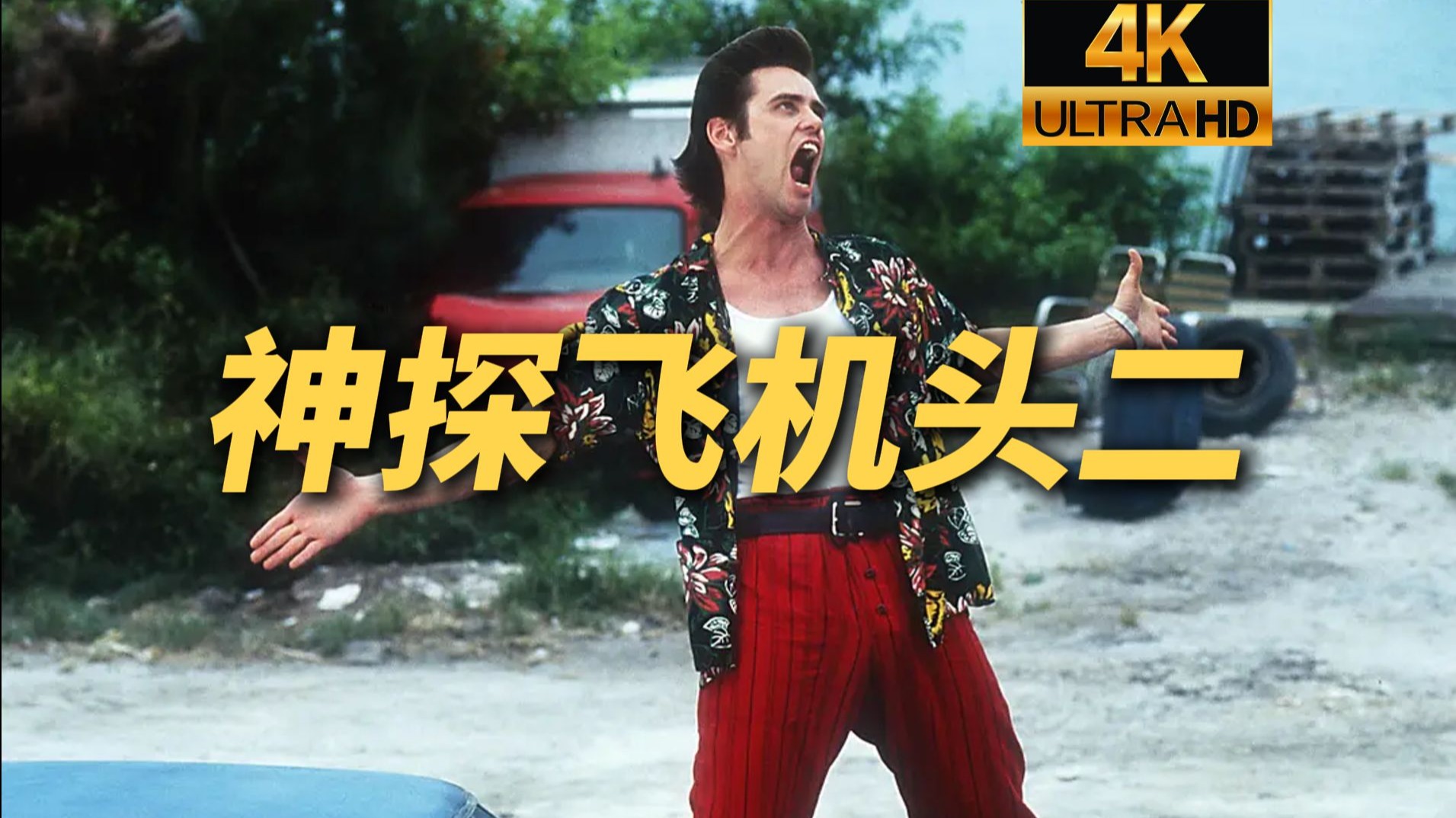 神探飞机头2 4k 完整版