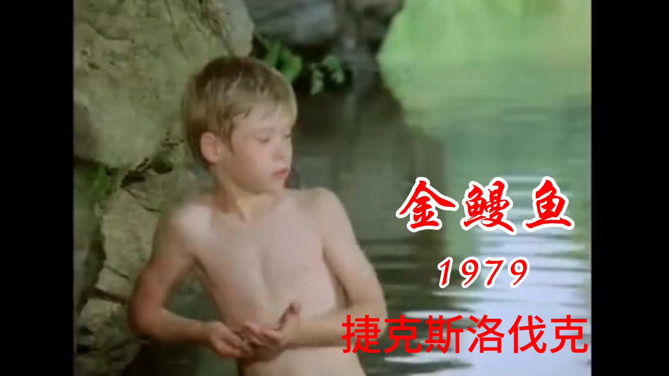 金鳗鱼〔1979捷克斯洛伐克电影〕