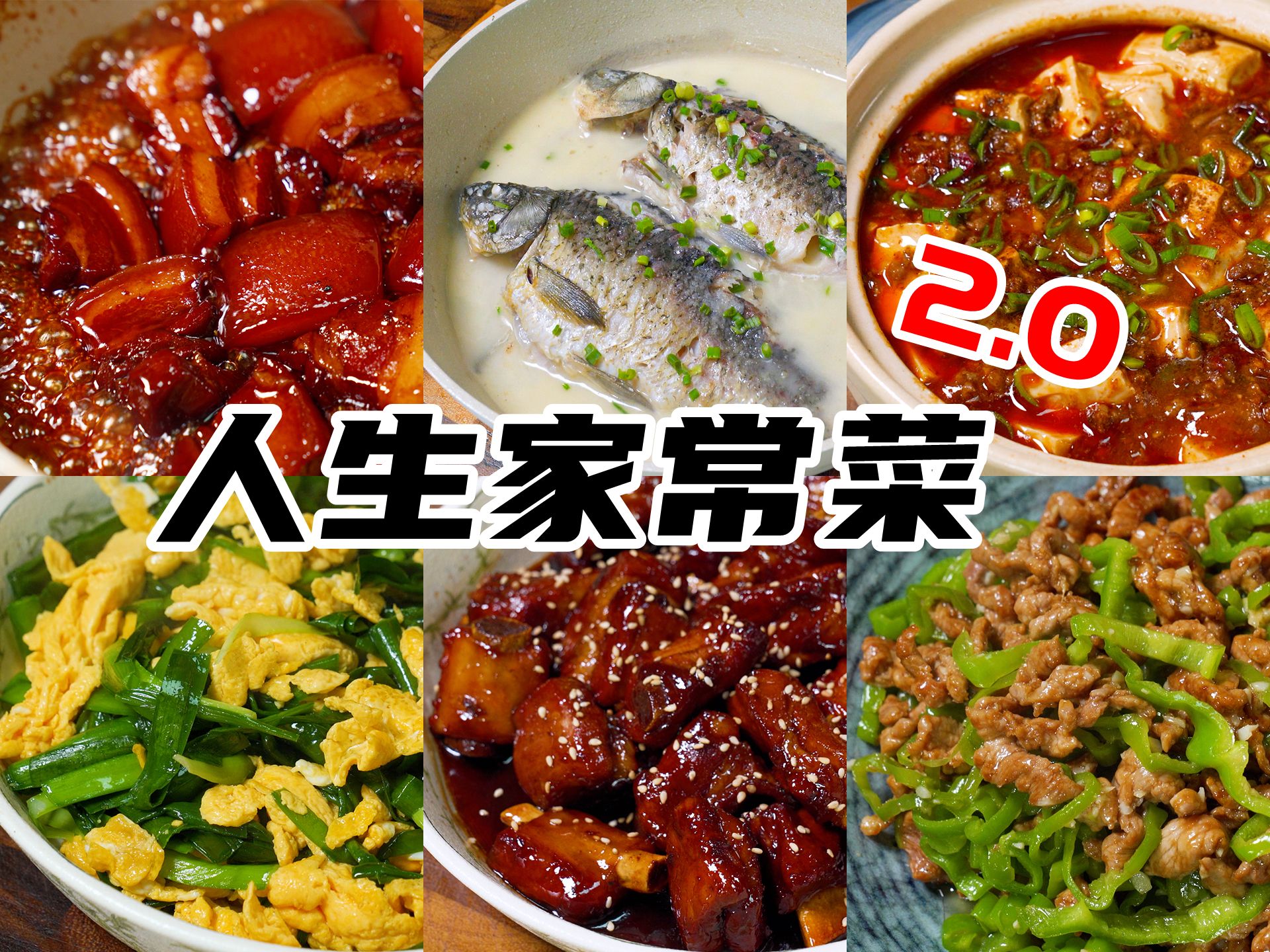 一期带你学会煮饭，9道中国人都知道的人生家常菜 2.0