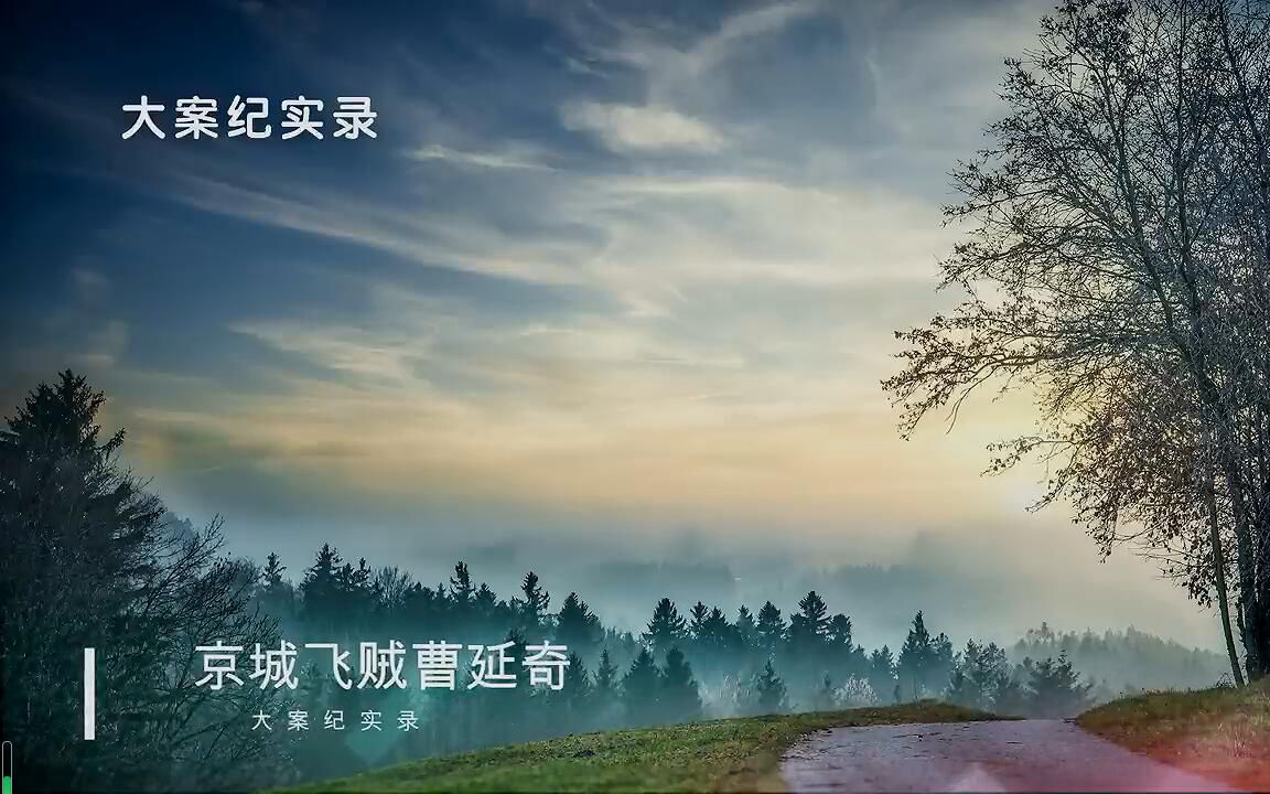 【大案纪实】飞贼曹延奇