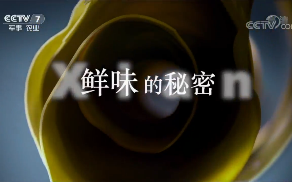 CCTV7 【4K超清】美食纪录片《鲜味的秘密》【全6集】
