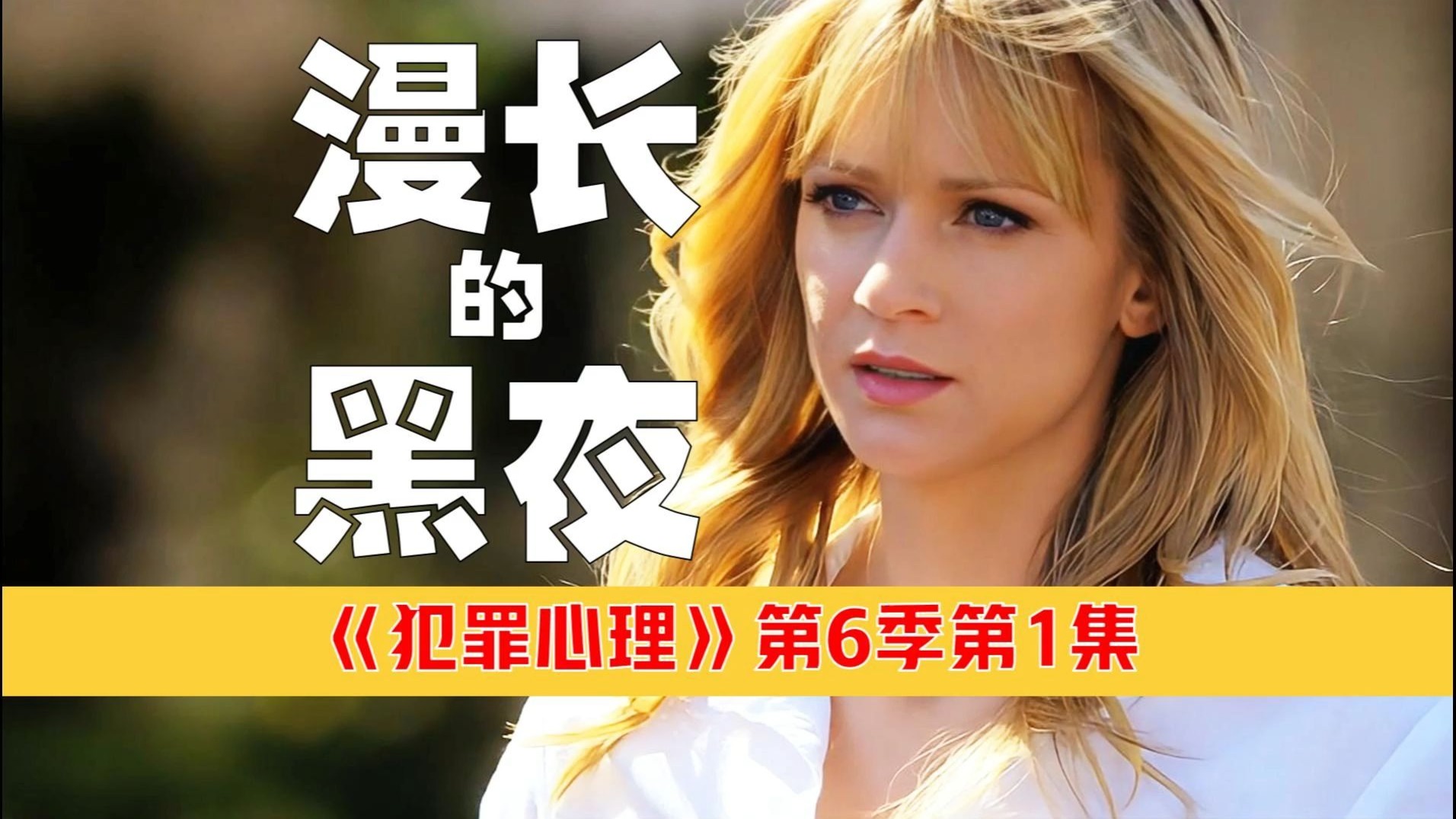 【丁胖】《犯罪心理》第6季第1集：漫长的黑夜