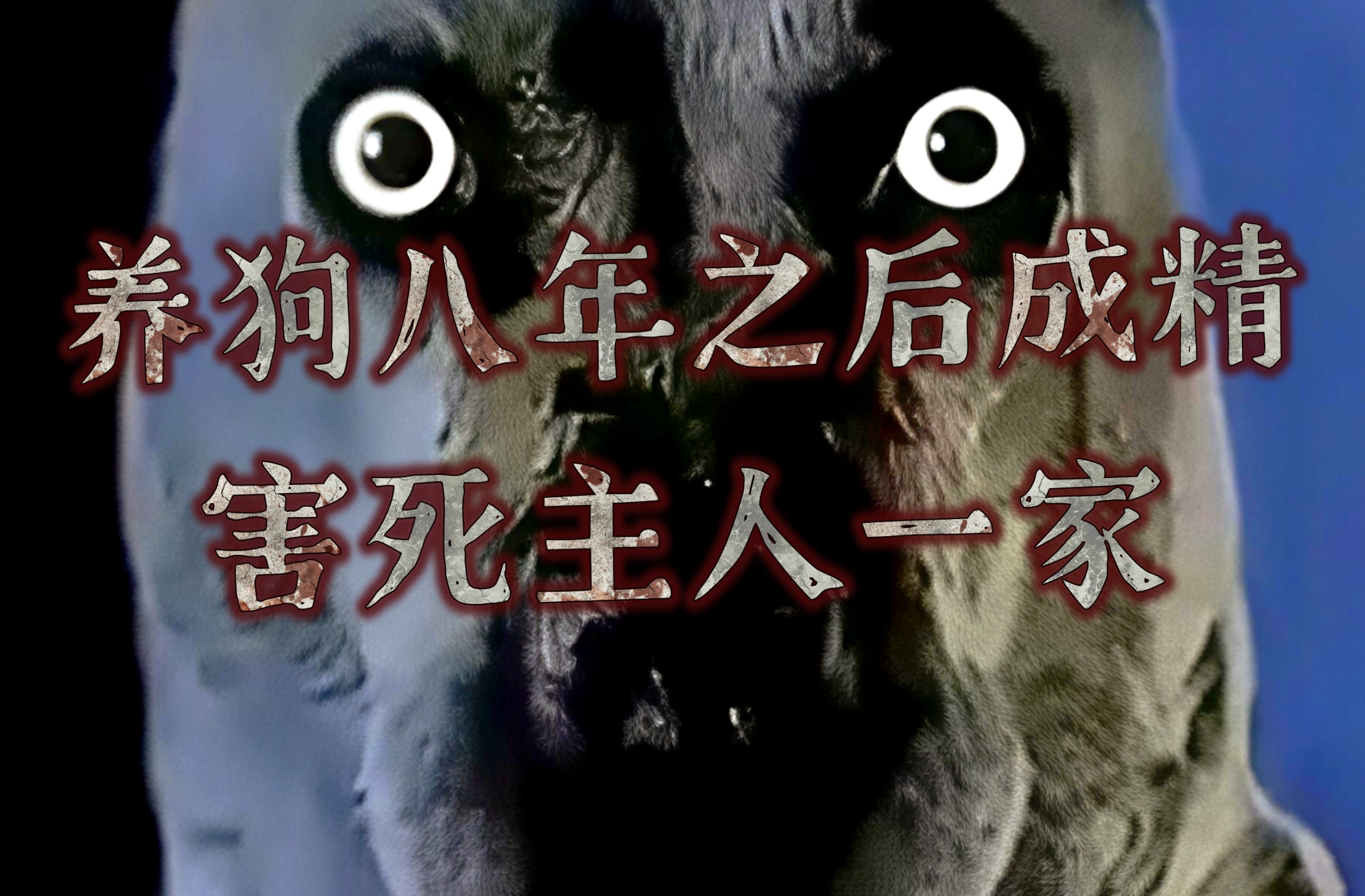 俗话说，昆无六载，犬不过八。养狗超过八年，可能会成精害人……