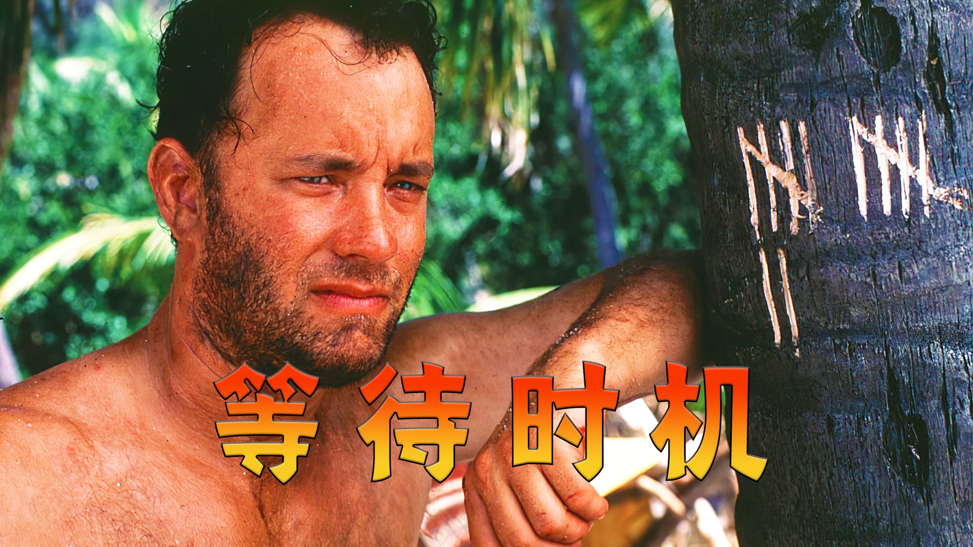 飞机失事流落荒岛生存1500天，身处困境唯有等待时机方能解脱，高分电影《荒岛余生》