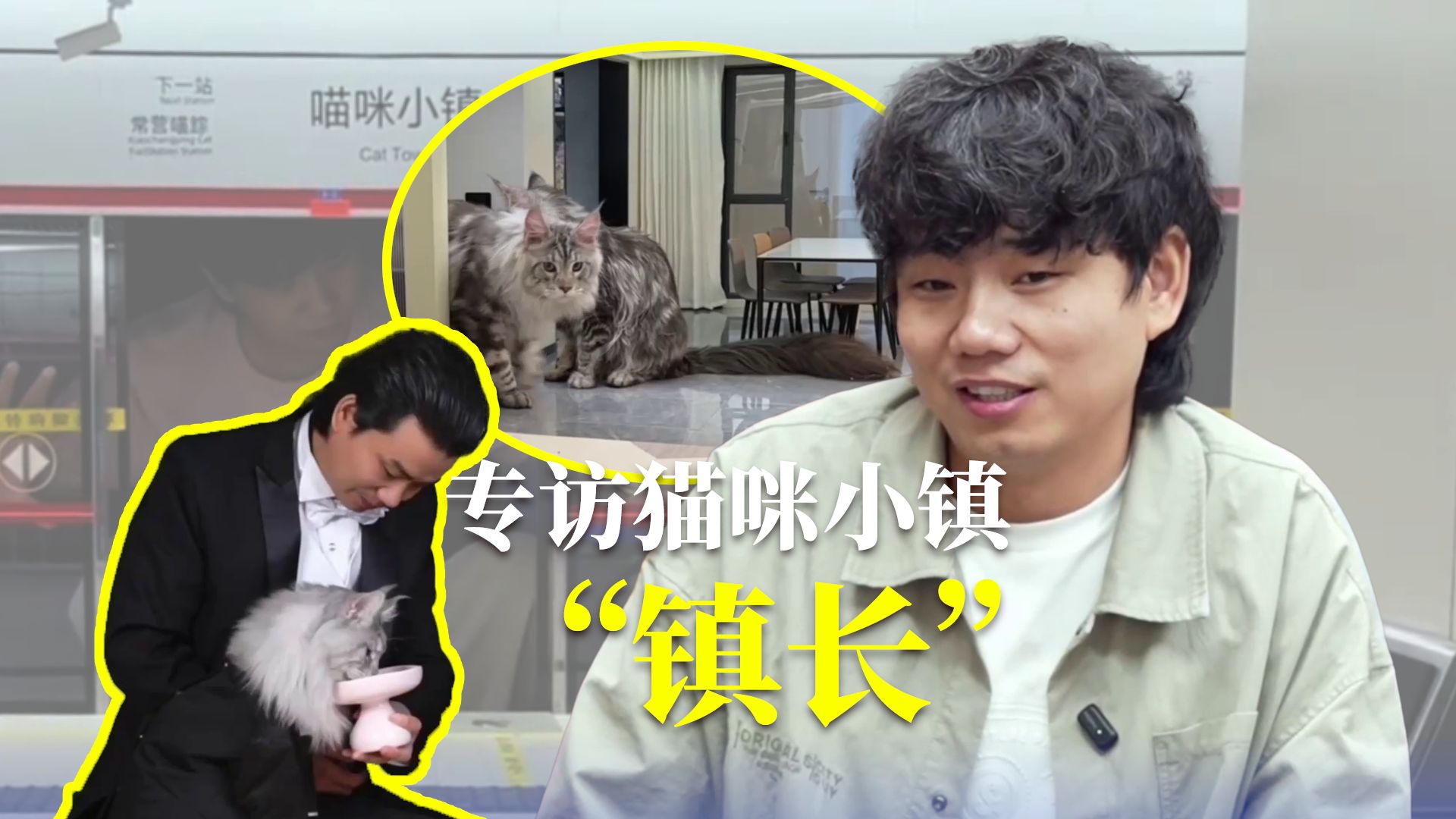 专访猫咪小镇“镇长”：把世界等比缩小，让童话继续发生