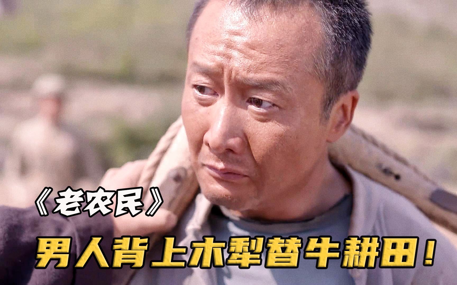 男人偷用集体耕牛被抓，不料村主任竟让他戴上木犁，替牛耕田！