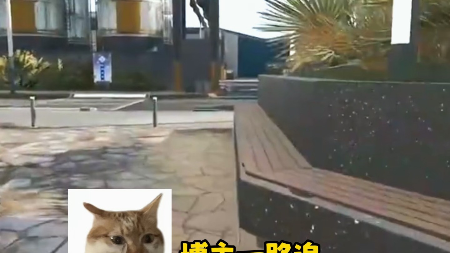 队友被苏醒夺舍了
