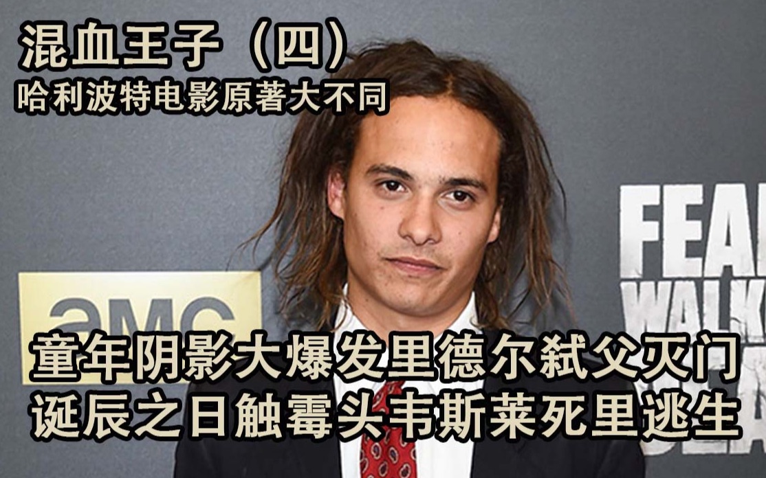 【哈利波特与混血王子】（四）/童年阴影大爆发里德尔弑父灭门。诞辰之日触霉头韦斯莱死里逃生/【纳吉尼她二哥倾情盘点】哈利波特系列原著电影大不同